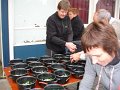 Mosselfeest 2013 - 08